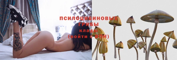 сатива Армянск